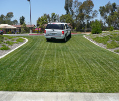 This is the alt text