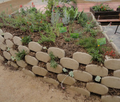 Verdura® Plantable Retaining Wall Blocks at the Laguna Beach County Water District 2013 Smartscape Info/Expo