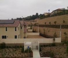 IMG_20150612_131958922