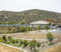 Verdura retaining wall at Sheriff Station in San Diego Couty
