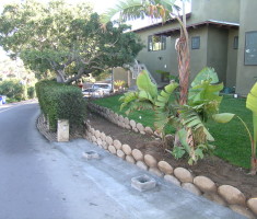 Swale in Leucadia, CA