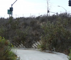 La Costa access road