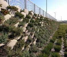 Santa Ana Rivertrail