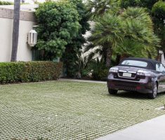 Parking: Pre-cut Turf