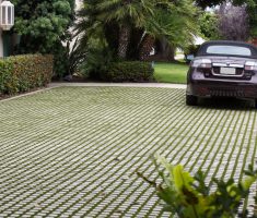 Parking: Pre-cut Turf