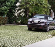 Parking: Pre-cut Turf