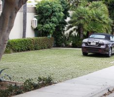 Parking: Pre-cut Turf