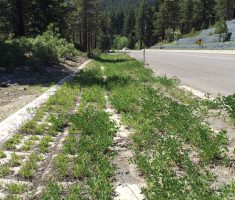 NDOT_Mt Rose Highway