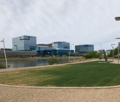 Drivable Grass with sod infill at Watermark Project in Tempe, AZ