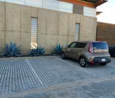 IMG_20171007_084248578_HDR