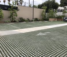 Parking: Pre-cut Turf