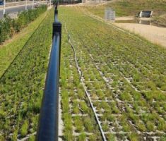 Enviroflex_Meadowood_Fallbrook_2022