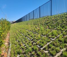 EnviroFlex_Meadowood_Spillway