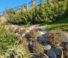 Verdura retaining wall_Backyard wall_Baker Residence_Del Mar, CA_2021