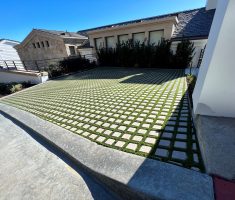 Driveway: Pre-cut Turf