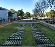 Fire lane:  Pre-cut Turf