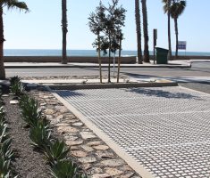 Parking: Decomposed Granit