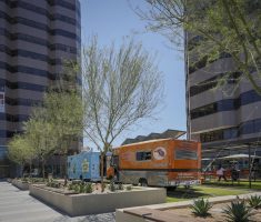 Fire Lane: Pre-cut Turf