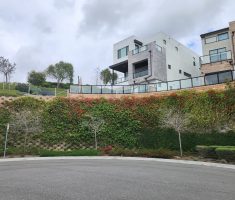 Verdura_Harbor View_San Juan Capistrano_2022