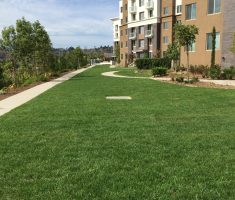 alt="permeable drivable fire lane access"/>