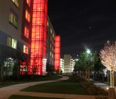 alt="permeable drivable fire lane access"/>