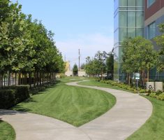 alt="permeable drivable fire lane access"/>