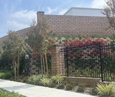 Verdura_Corner_Nelles_Whittier_2018.4