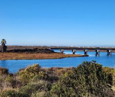 Bridge Abutments