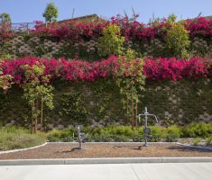 Verdura retaining wall_Willow Heights_Diamond Bar, CA_ 2018 (1)