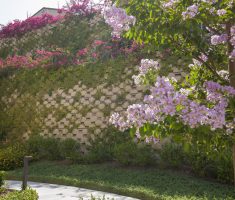 Verdura Retaining Wall_Residential_Willow Heights_Diamond Bar, CA_ 2018 (18)