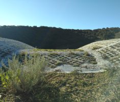 Enviroflex_Spillway_Pacific Highlands Ranch (7)