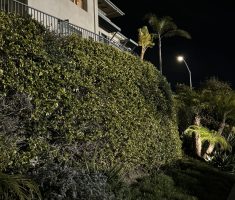 Verdura Retaining Wall_Fay Avenue La Jolla, CA (2)