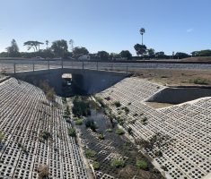 Enviroflex_Bridge Abutment_Cardiff_CA_2019