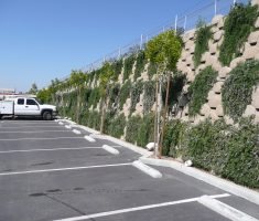 Garrett Goodman - Temecula, CA