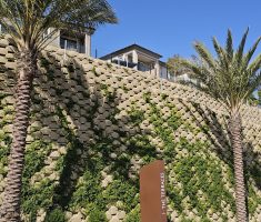 Verdura_The Terraces at Walnut_Walnut_2025 (12)