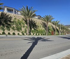 Verdura_The Terraces at Walnut_Walnut_2025 (6)