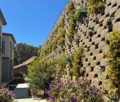 Verdura_Peninsula Heights_San Mateo_2025